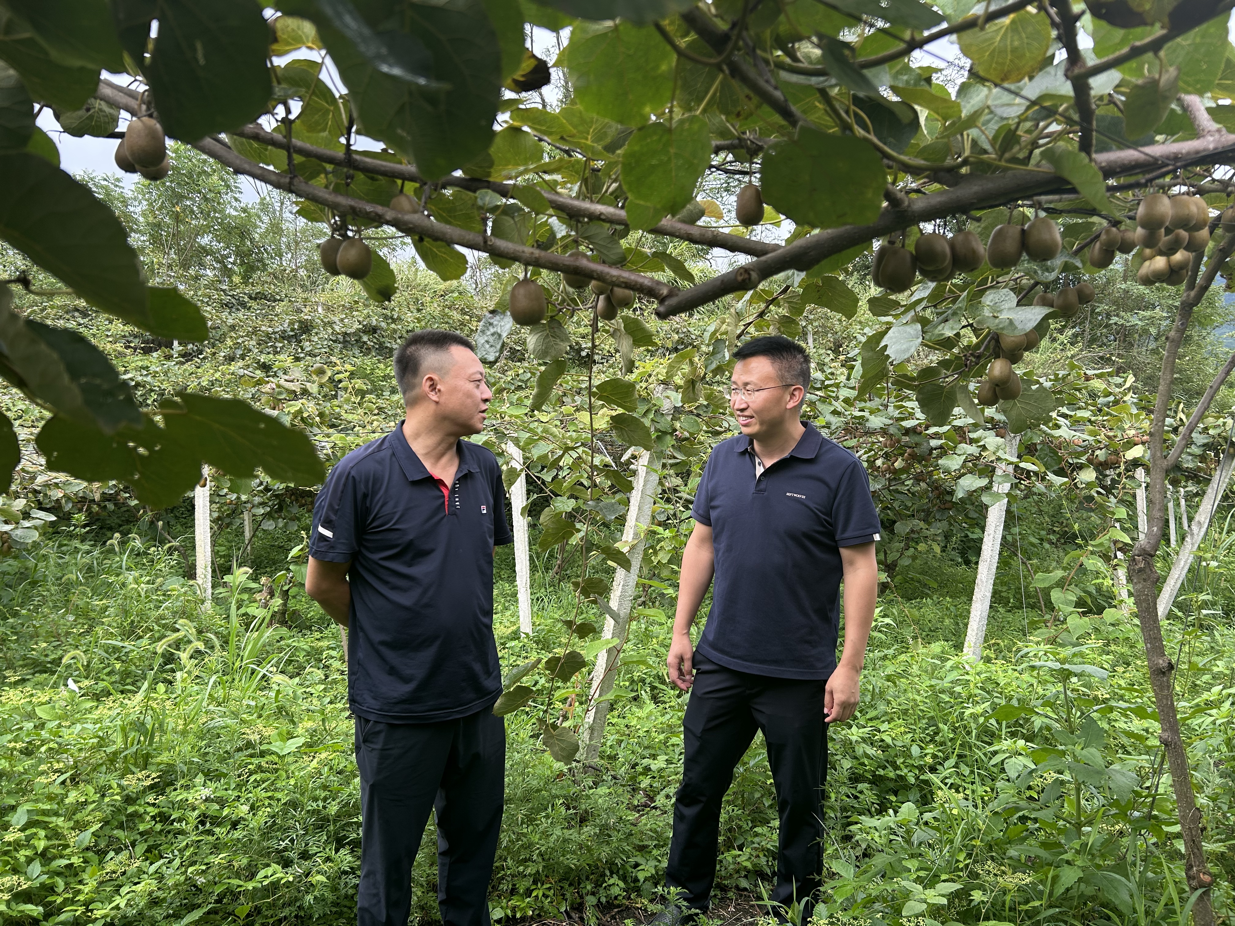 689d91d39f2ed.png 689d91d39f2ed.png